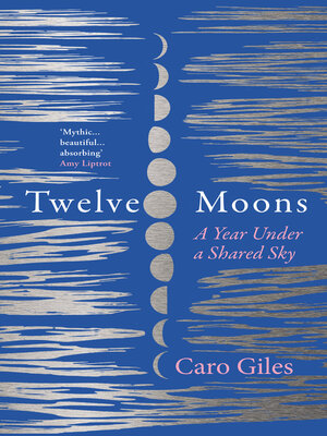 cover image of Twelve Moons